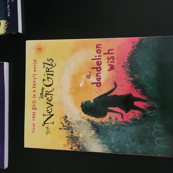 The Never Girls books , set of 4 - Picture 5 of 6